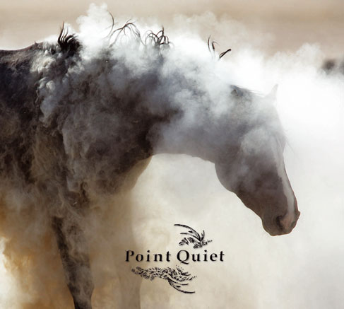 Point Quiet album cover
