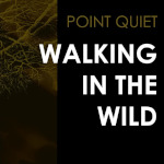 Walking in the wild album cover